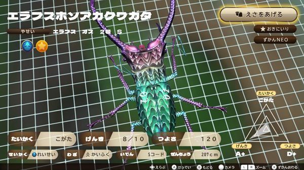 【送料無料】カブトクワガタ 邪龍エラフスホソアカクワガタ スペシャルコード コロコロイチバン★取引ナビよりコード送信(^^♪_画像1