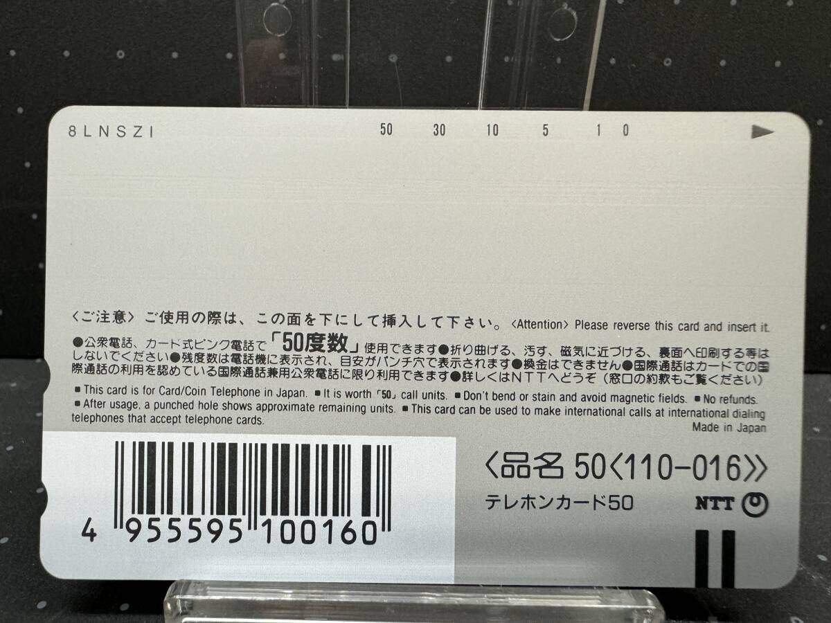 (管24390BG)【テレカ】ときめきメモリアルPOCKET カルチャー編 木漏れ日のメロディ 発売記念 CM034 藤崎詩織 テレホンカード セット 保管品_画像7