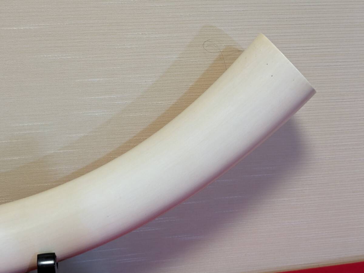 牙 一本物 一本牙 白材芯料 天然素材 象牙風 全長約102cm 重量約11.135㎏ オブジェ 裏蓋付 （34-1）の画像4