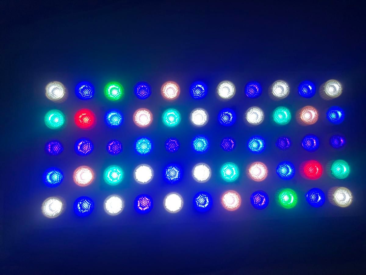 ブラックボックス 海水ライト LED