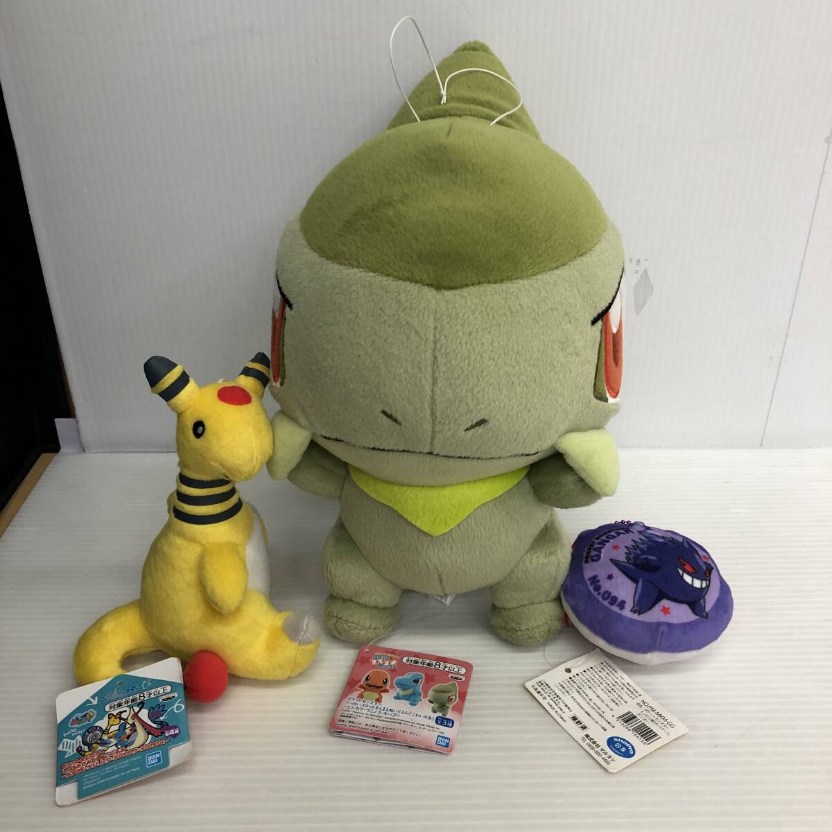 ポケモン ぬいぐるみ 雑貨 まとめ ピチュウ イーブイ ヒトカゲ ミミッキュ カイリュー ライチュウ ナエトル エモンガ デンリュウ 他 14点_画像2