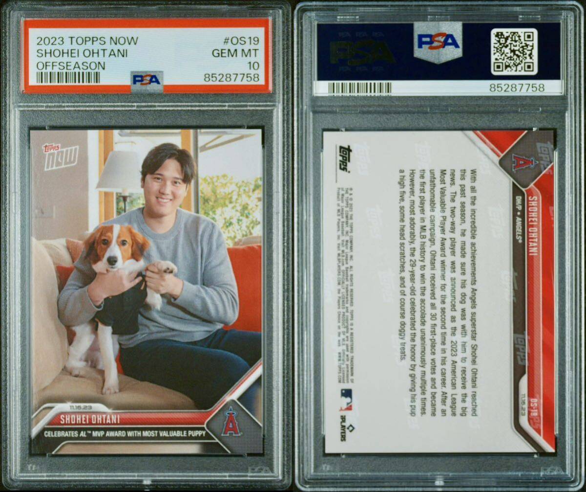 PSA10鑑定済み 大谷翔平 Topps now #os19 デコピンとのツーショット shohei ohtani MVP記念 エンゼルス ドジャース dodgers decoy dog_画像2