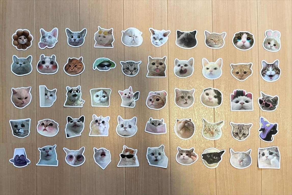 【即日発送】猫ミーム ステッカー 1枚 シール 驚きの画像2