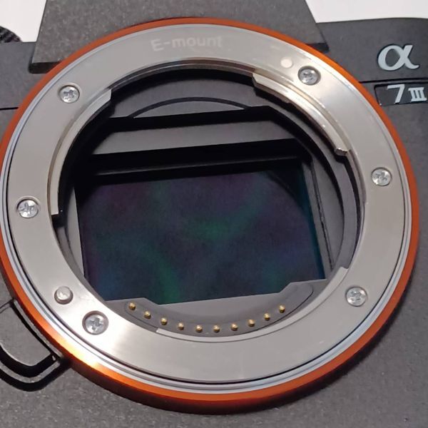 45450円 衝撃 シャッター数 2202回 ◇◇ 使用感激少の特上品 45450円 衝撃 シャッター数 2202回 ◇◇ 使用感激少の特上品