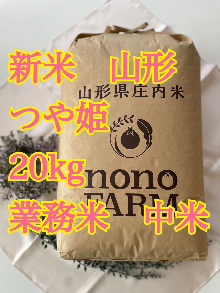 つや姫　20kg 中米　業務米　令和5年　山形　特別栽培米