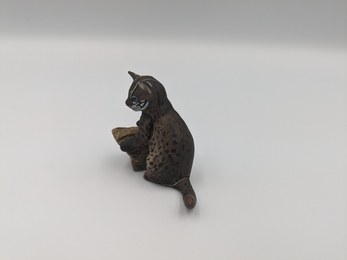 イリオモテヤマネコ ミニフィギュア 生き物 ネコの画像2