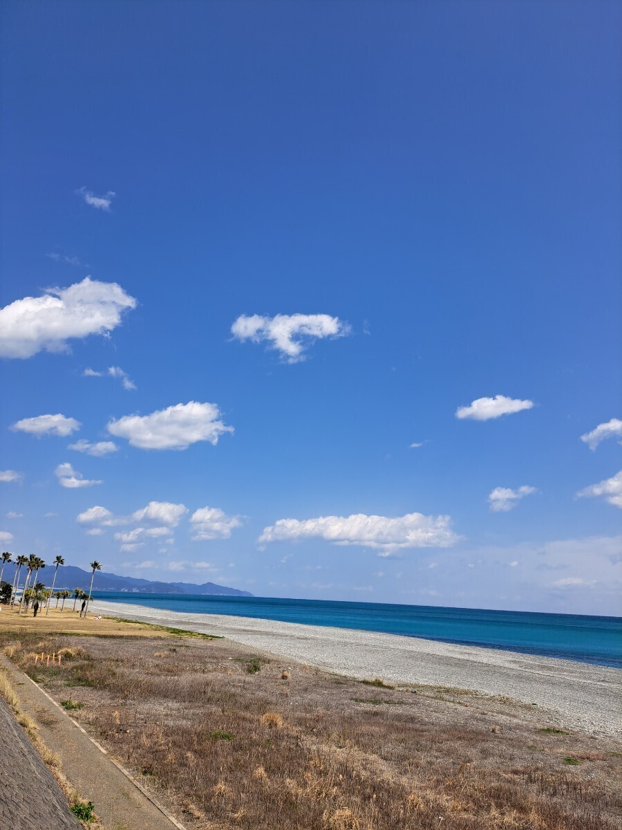 送料込♪5キロ箱♪果汁たっぷり濃厚なカラ♪三重県御浜町阿田和♪南紀_画像4