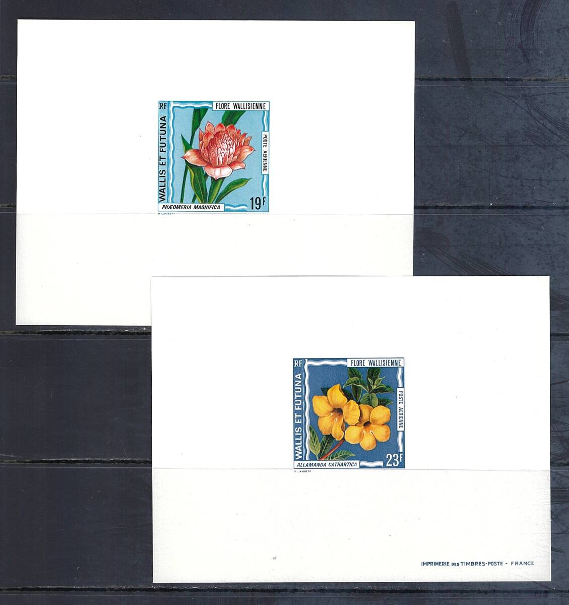 ワリス＆フツナ諸島 1973年 #C47-52(DXSS : NH) ワリス島の花々の画像3