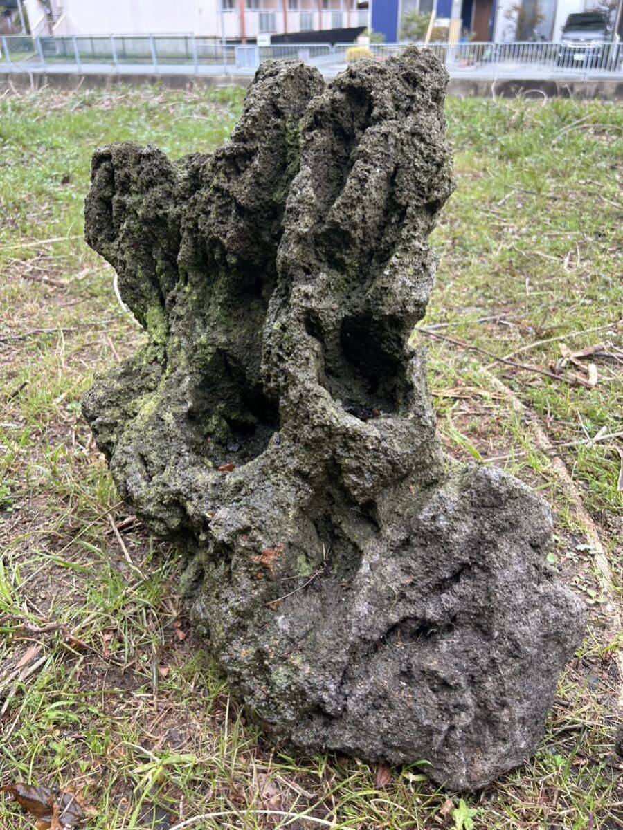 極上 親石 サイズ ADA 雲山石 アクア デザイン アマノ 極上 親石 サイズ ADA 雲山石 アクア デザイン アマノ