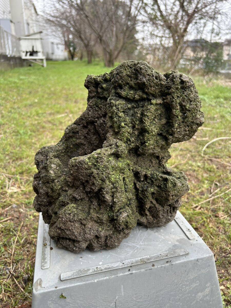 極上 親石 サイズ ADA 雲山石 アクア デザイン アマノ 極上 親石 サイズ ADA 雲山石 アクア デザイン アマノ