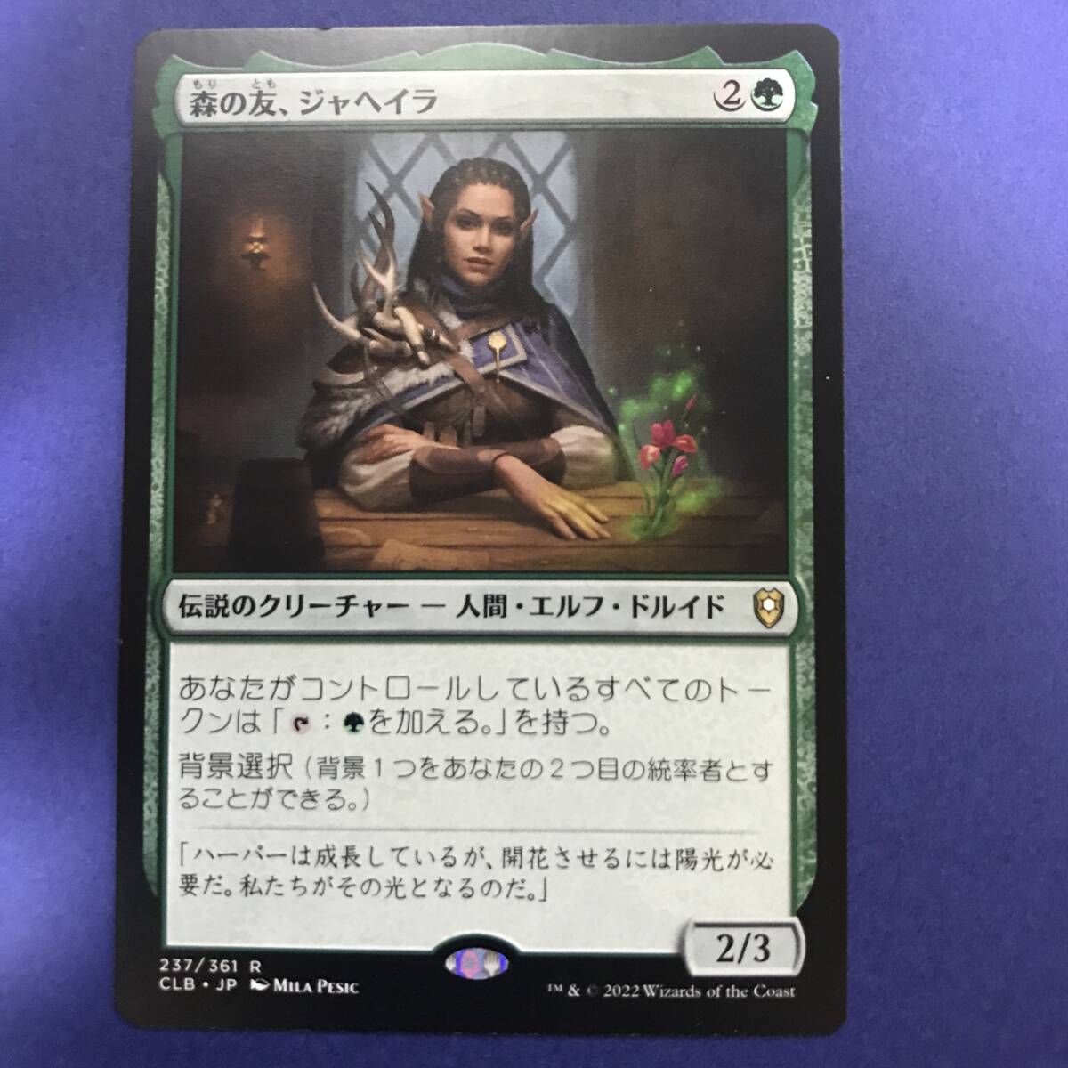 MTG/森の友、ジャヘイラ/Jaheira, Friend of the Forest/日本語/1枚_画像1