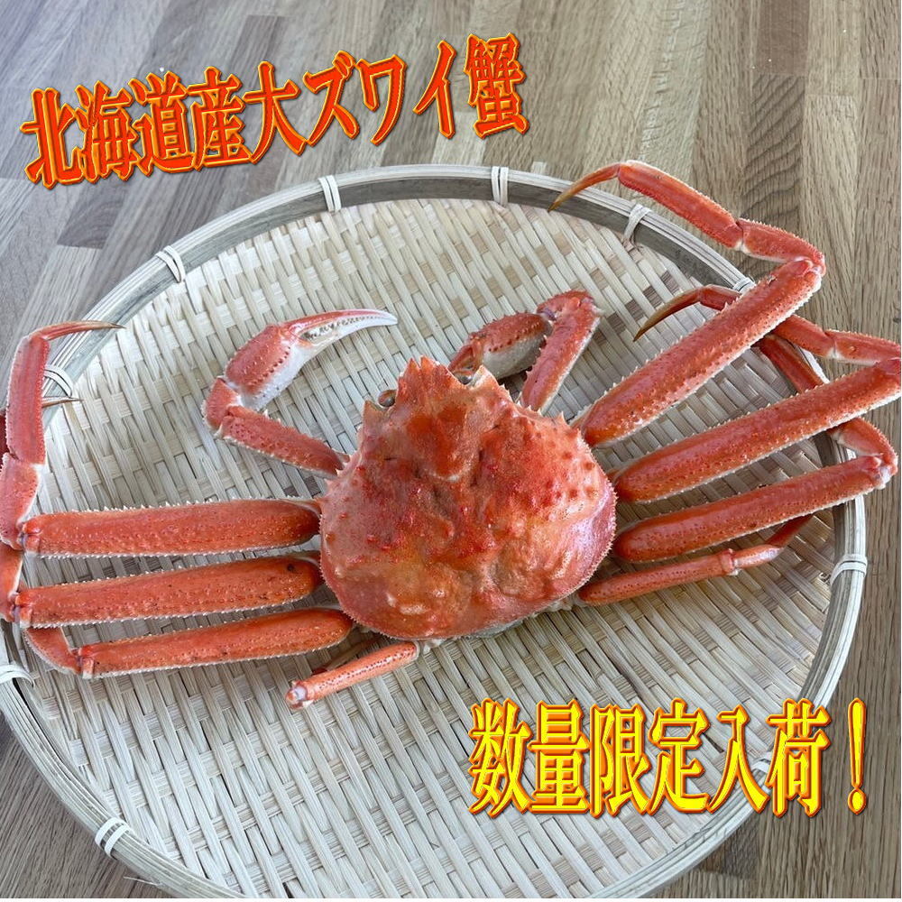 数量限定！北海道産活オオズワイガニ1尾400-500ｇ_画像1