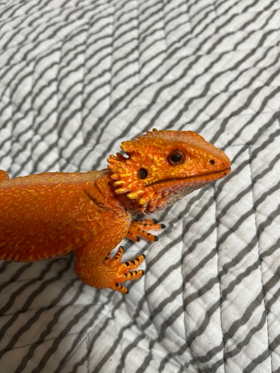 フトアゴヒゲ　トカゲ　Bearded-Dragon フィギュア　人形　美品　サファリ