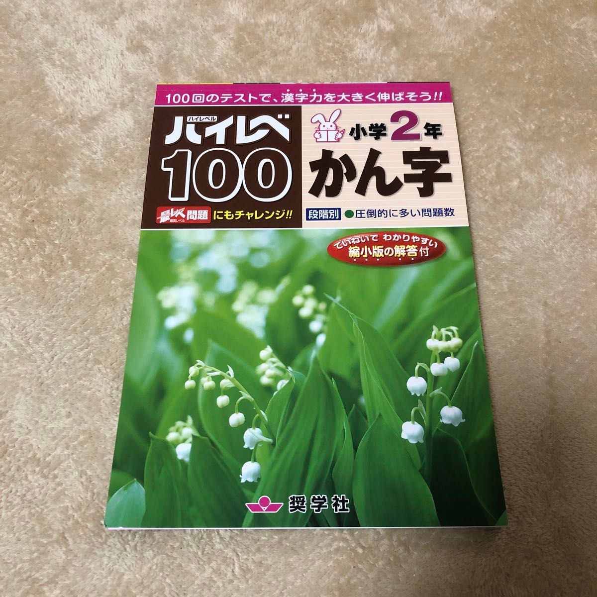 ハイレベ100 漢字　2年