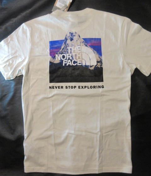 本物正規◆ノースフェイス◆Tシャツ BOX NSE■M■アイボリー 新品■GDN WHITE アメリカ限定 FM1/The North Face メンズ 半袖の画像4