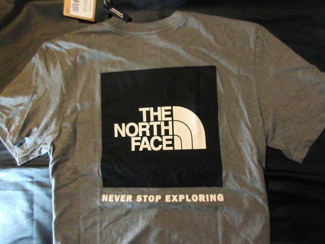 本物正規◆ノースフェイス◆Tシャツ BOX NSE■Ｌ■グレー■新品■アメリカ限定■GVD THE NORTH FACE 半袖の画像2