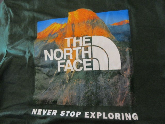 本物正規◆ノースフェイス◆Tシャツ BRAND PROUD■M■緑 新品■アメリカ限定/PINE NEEDLE The North Face メンズ 半袖の画像5