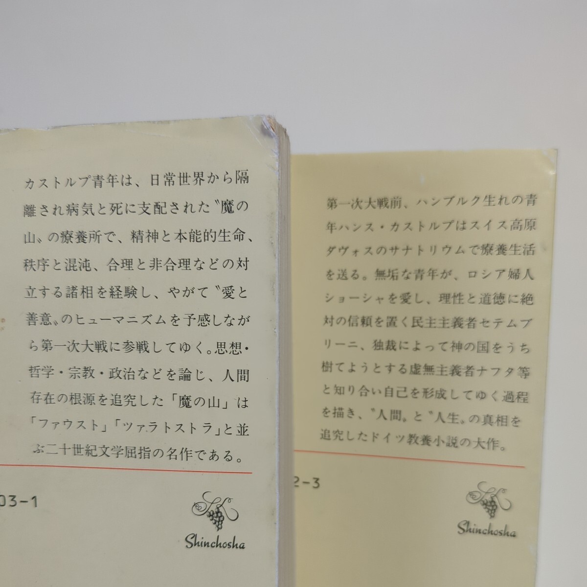 上下巻2冊セット 魔の山トーマス・マン 高橋義孝 新潮文庫 改版 平成15年発行 中古 上 下 上巻 下巻 古書