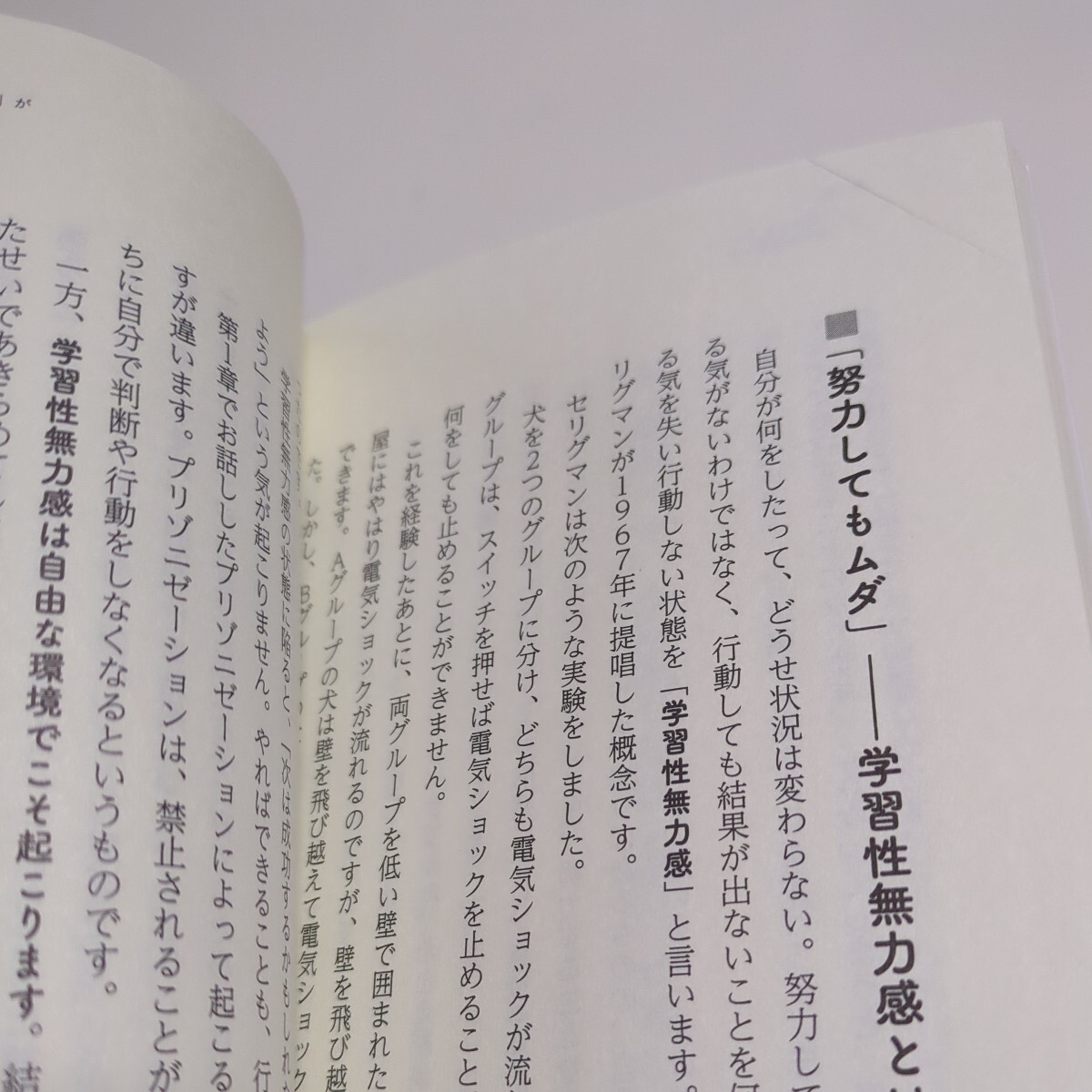 犯罪心理学者が教える子どもを呪う言葉・救う言葉 （ＳＢ新書　５８９） 出口保行／著 中古 01101F021