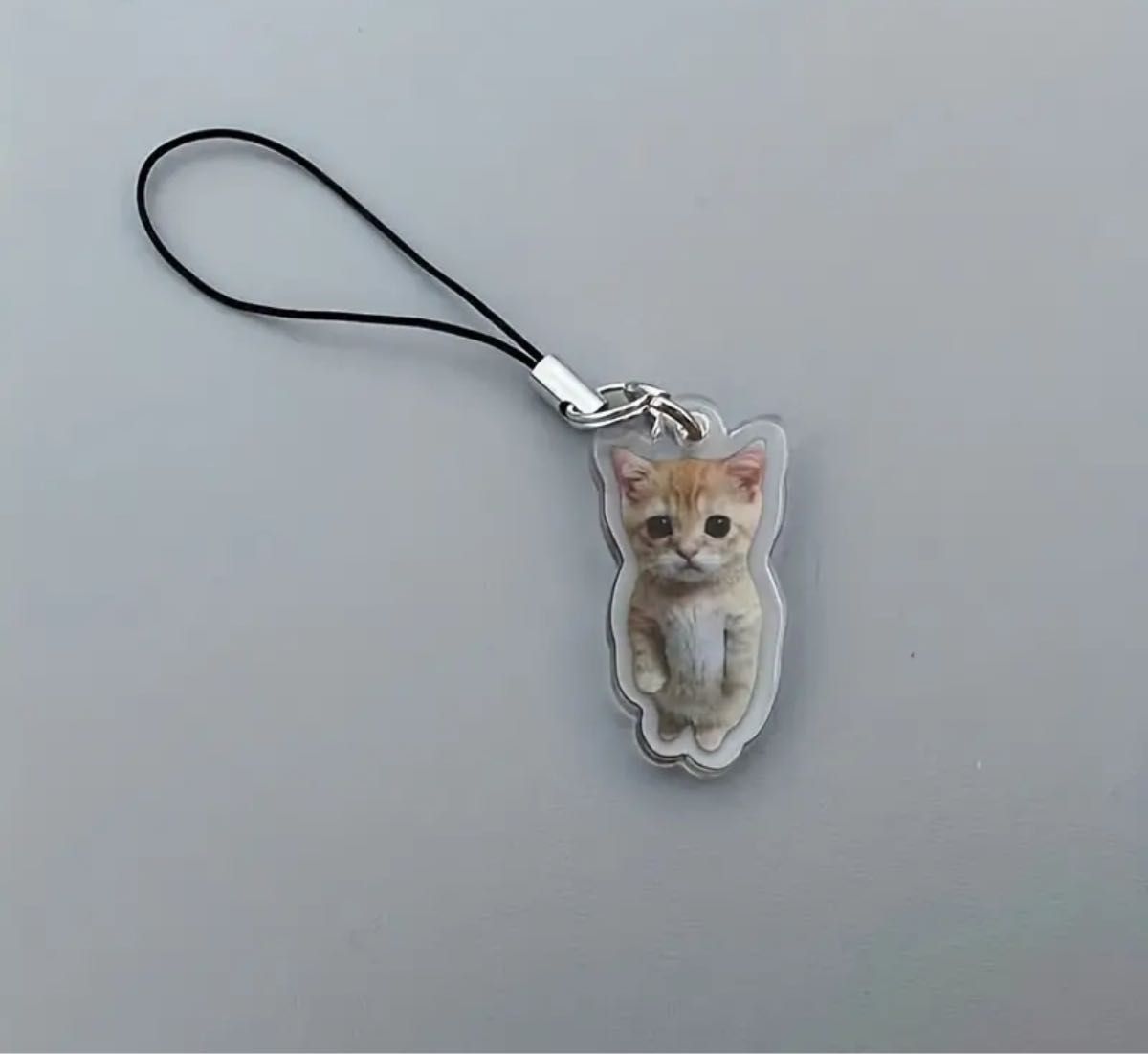 猫ミーム バナナ猫 ハッピー猫 アクリルキーホルダー キーホルダー 7点セット