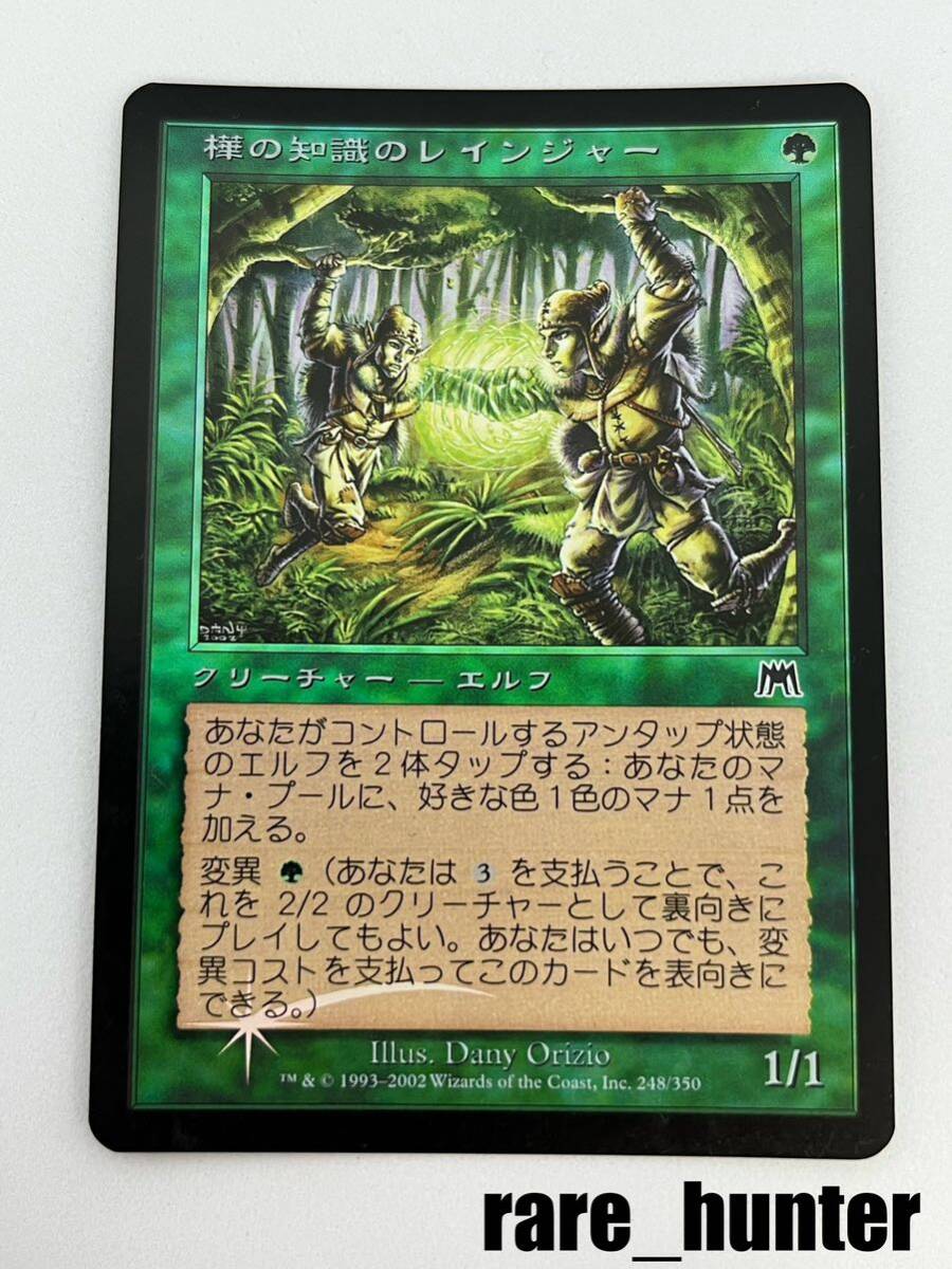 ☆即決 ONS Foil 樺の知識のレインジャー/Birchlore Rangers 日本語☆_画像1