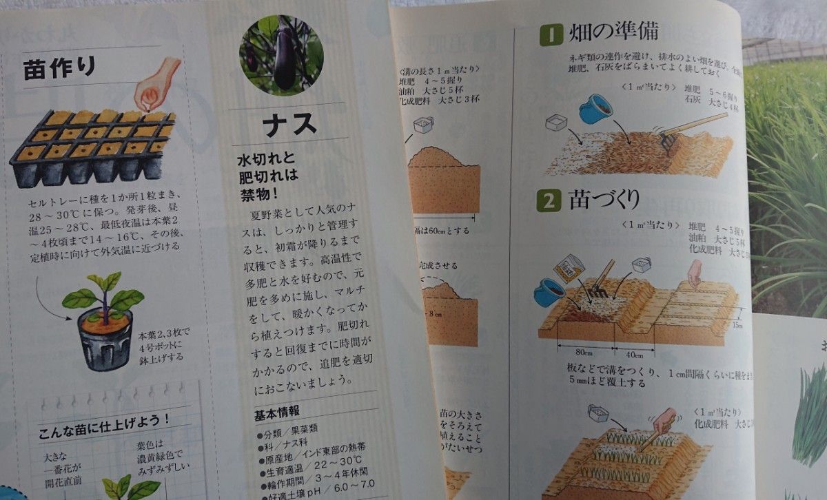 【家の光】東日本版/JAグループのファミリーマガジン/2010年1月/2019年12月