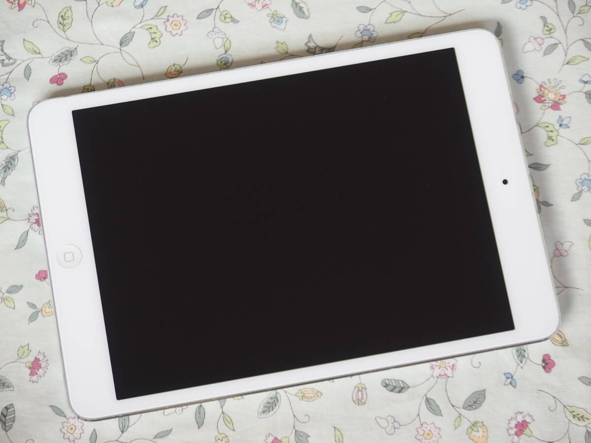 ☆彡 美品　Apple iPad mini　A1432　16GB　ホワイト＆シルバー 《Wi-Fi モデル》_画像4