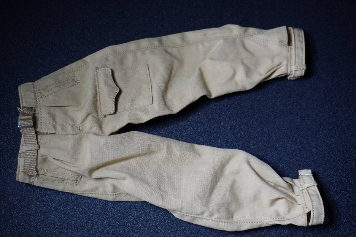 DID 1/6 WWII German SS Otto Skorzney tropical jacket & pants 