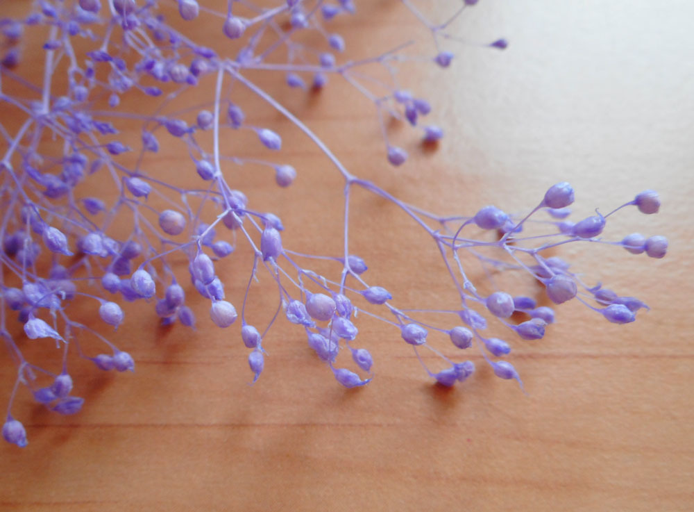 * soft Minica smi. Angel purple preserved 3D herbarium wax sachet corsage little amount 4*
