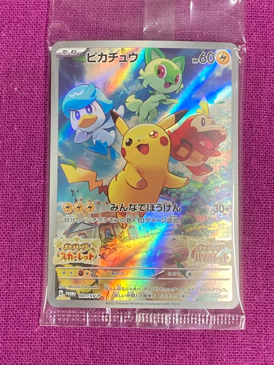 未開封新品 ポケモンカード ピカチュウ プロモ 2種類おまとめ 未開封新品 ポケモンカード ピカチュウ プロモ 2種類おまとめ