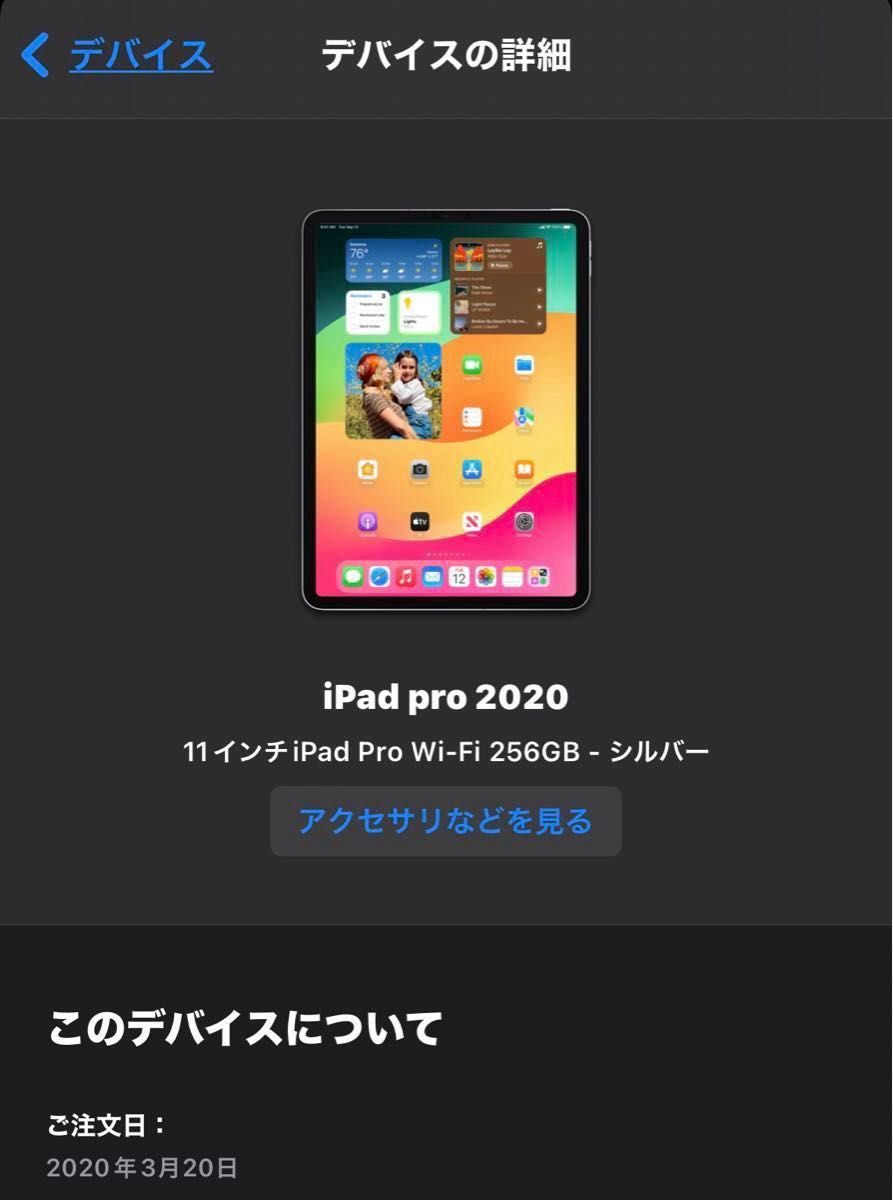 Apple iPad Pro 2020年モデル シルバー 256GB  Wi-Fi Apple Pencil ケース付き