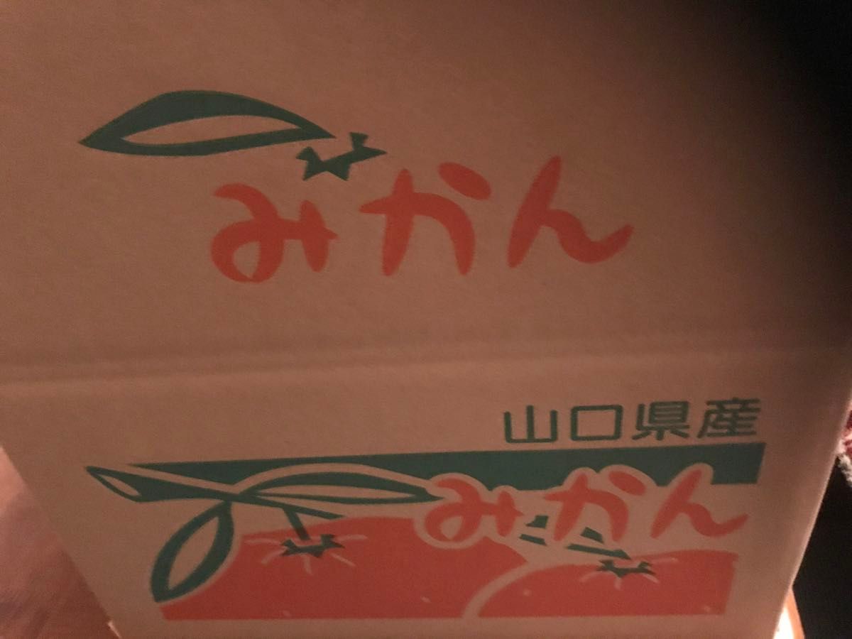 訳あり.現物写メ発送(せとみ.3割引きセール】5Kg皮を剥けば中身は同じ