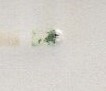花・貝・文化財　10円福寿草　バーコード、上カラーマーク付10枚B　カラーマーク部分傷や汚れあり_カラーマーク裏面傷や汚れあり