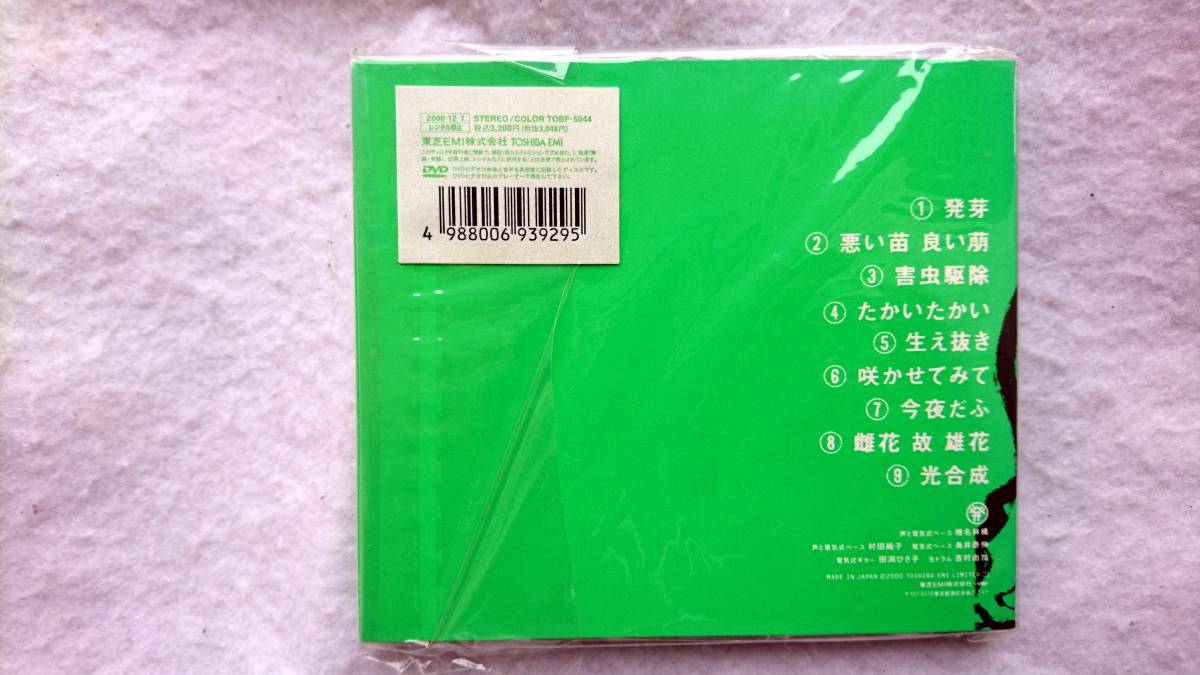 椎名林檎　御起立ジャポン 発育ステータス シークレットライブ_画像2