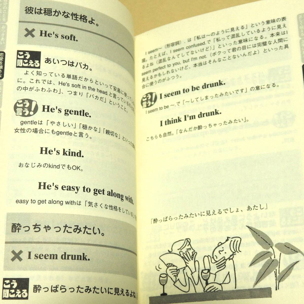 ★送料無料★中古本【その英語、ネイティブにはこう聞こえますSELECTなど４冊セット】デイビッド・セイン 小池 信孝 文庫本 英単語帳の画像6