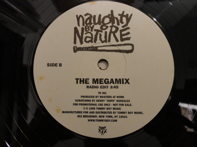 Naughty By Nature The Megamix 超絶アッパー 名曲満載MIX 12 視聴_画像2