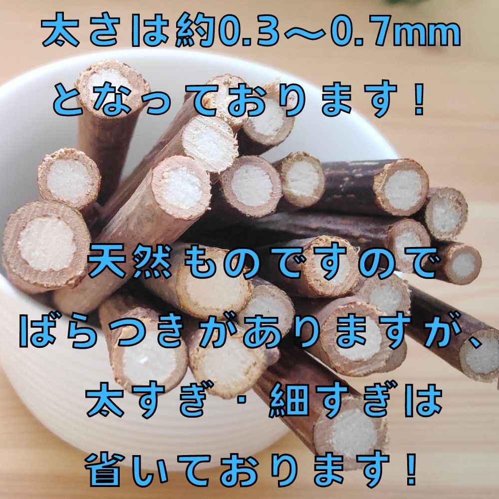 秋田県産 またたび20本超セット[ マタタビ]防腐剤不使用・天然モノ_画像4