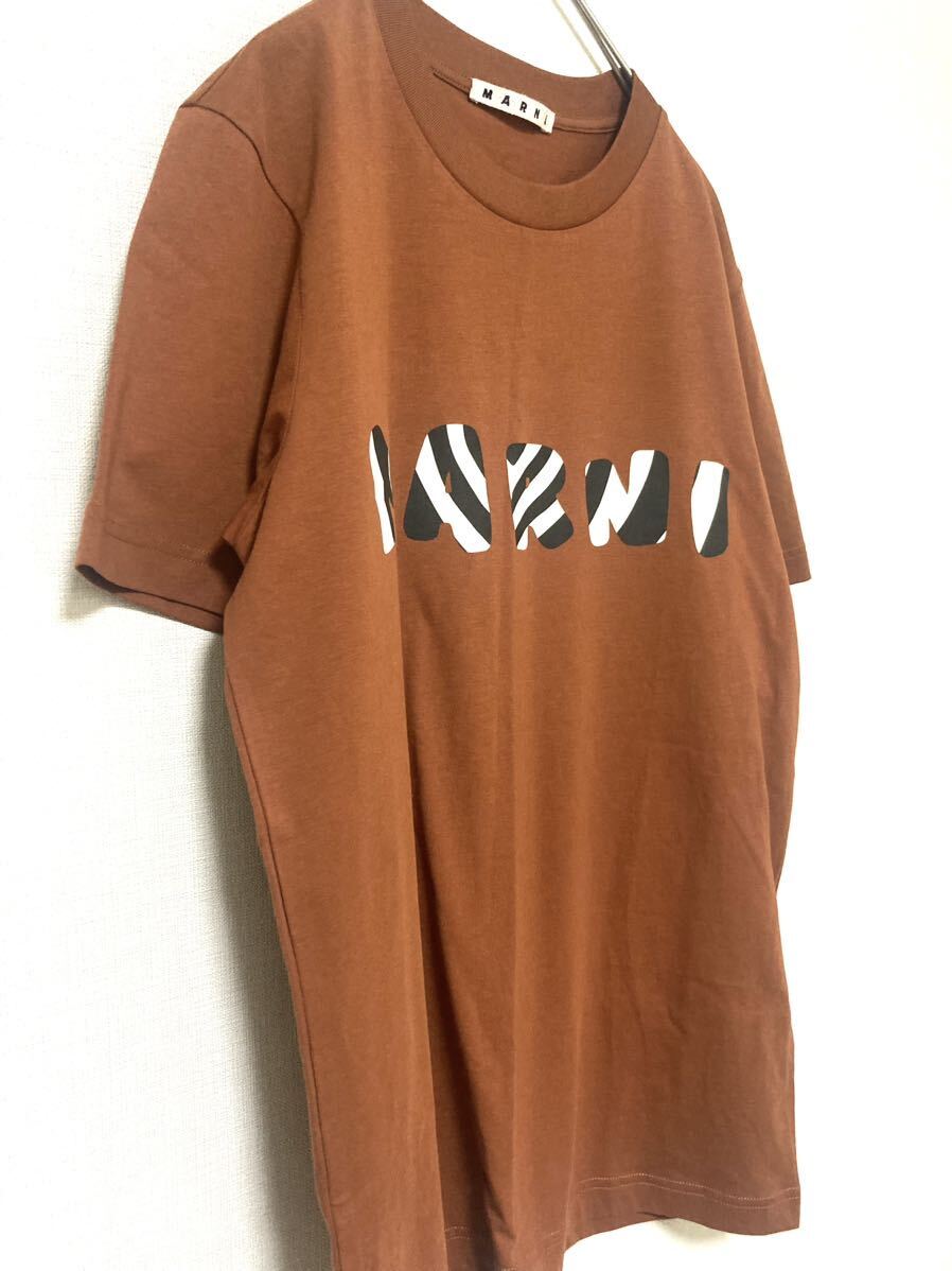 マルニ　marni プリント　ロゴ　ストライプ　ブラウン　半袖　tシャツ メンズ　トップス　カットソー　ニット　茶色　44クルーネック S