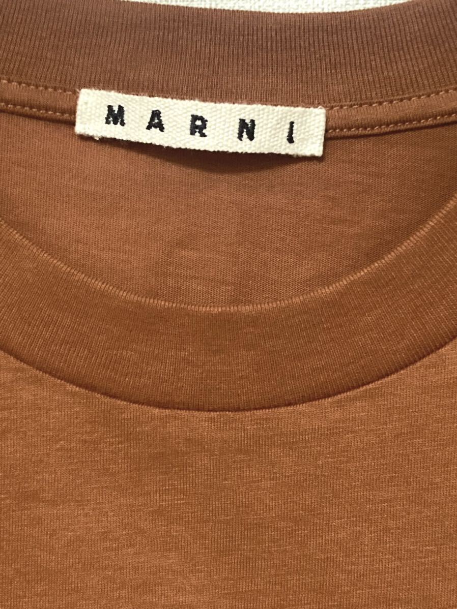 マルニ　marni プリント　ロゴ　ストライプ　ブラウン　半袖　tシャツ メンズ　トップス　カットソー　ニット　茶色　44クルーネック S