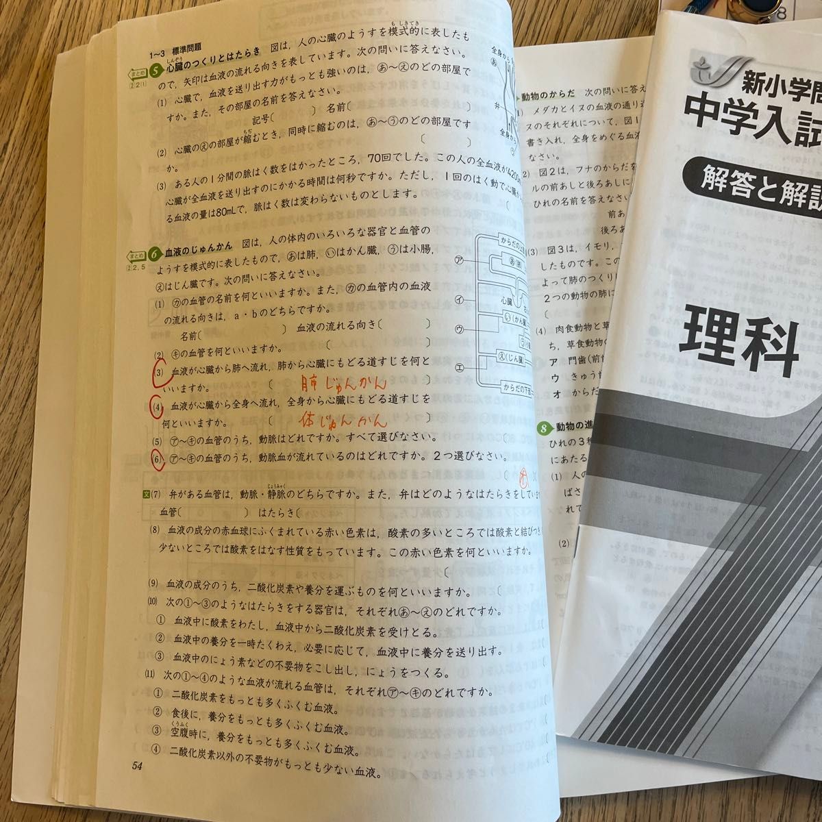 新小学問題集　中学入試編　理科Ⅲ