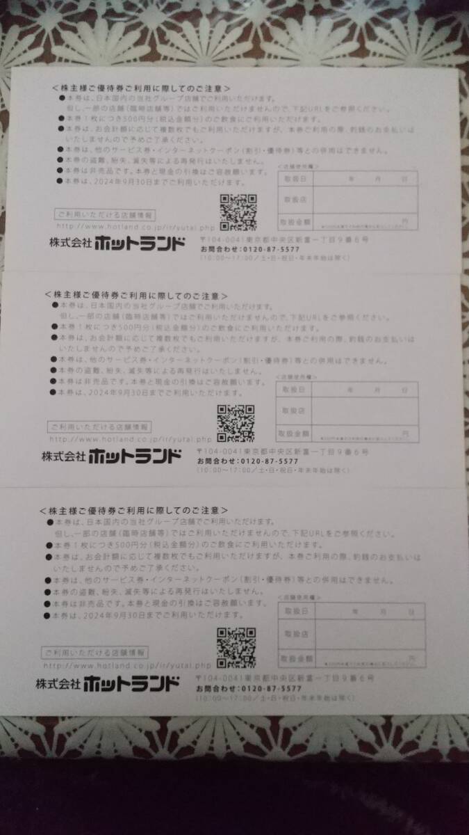 【送料無料】ホットランド株主優待券1,500円分（500円x3枚）2024年9月30日期限_画像3