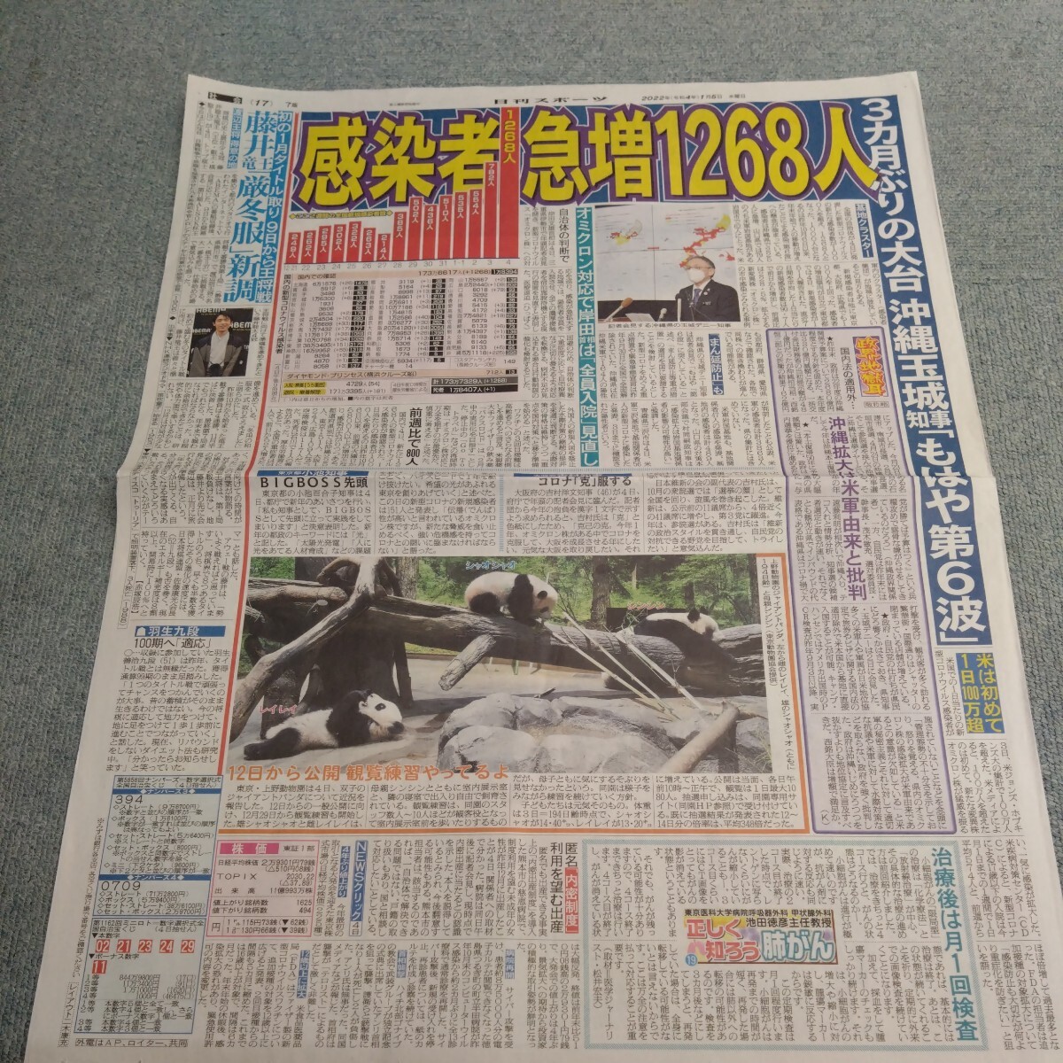 ⑯パンダ新聞 上野動物園レイレイ新聞シャオシャオ新聞シンシン新聞 2022年 MISIA新聞 水樹奈々新聞 荒井優希新聞  藤井聡太新聞の画像1