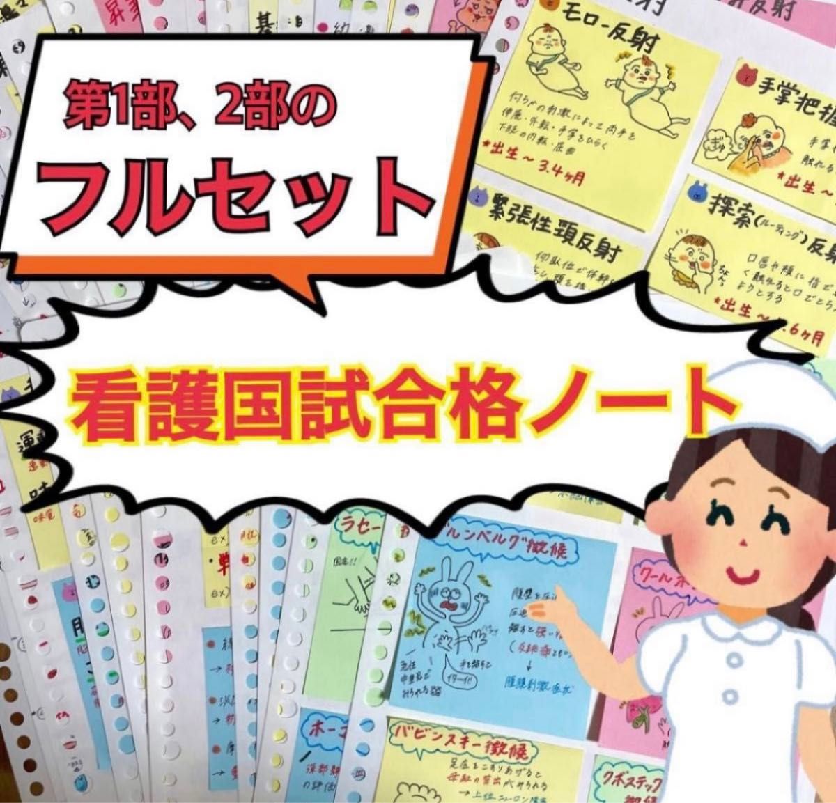 わかりやすい看護師国家試験まとめノート 付箋ノート 国試 解剖生理学 看護学生