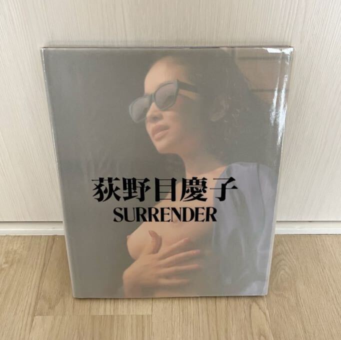 荻野目慶子 写真集 「SURRENDER 」_画像1