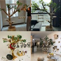  cat. action tree cat tower natural wood cat. Jump cat mountain climbing tower cat. action tree platform wooden cat. playing region height 1.5m