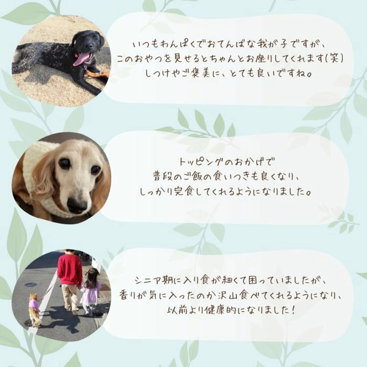 無添加 国産 犬 おやつ ドッグフード ささみふりかけ　トッピング　鶏肉　鶏　ササミ　犬 ペット おやつ 50g