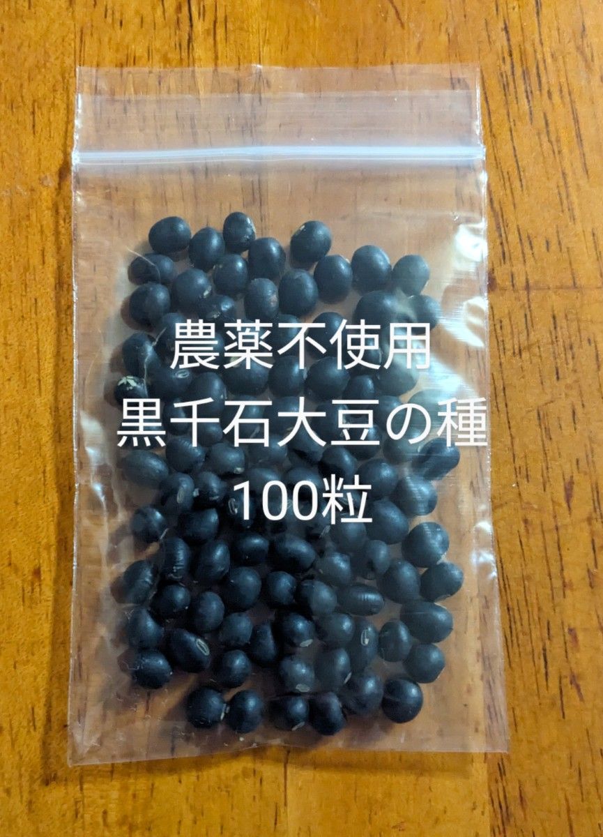 農薬不使用黒千石大豆の種100粒