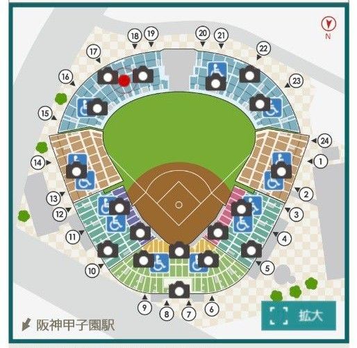 阪神タイガースチケット 6月4日(火)VS楽天戦  甲子園球場 レフト下段外野指定席 2枚