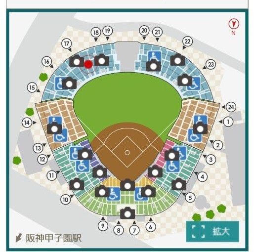 【完売日】座布団プレゼントデー 阪神タイガースチケット 5月24日(金)VS巨人戦  甲子園球場 レフト下段外野指定席 2枚