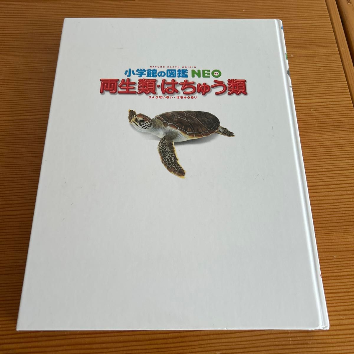 小学館の図鑑NEO 両生類はちゅう類